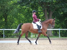 IMG_0466_web